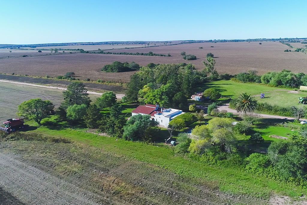 VENTA DE CAMPO EN SARMIENTO 2300 hectáreas