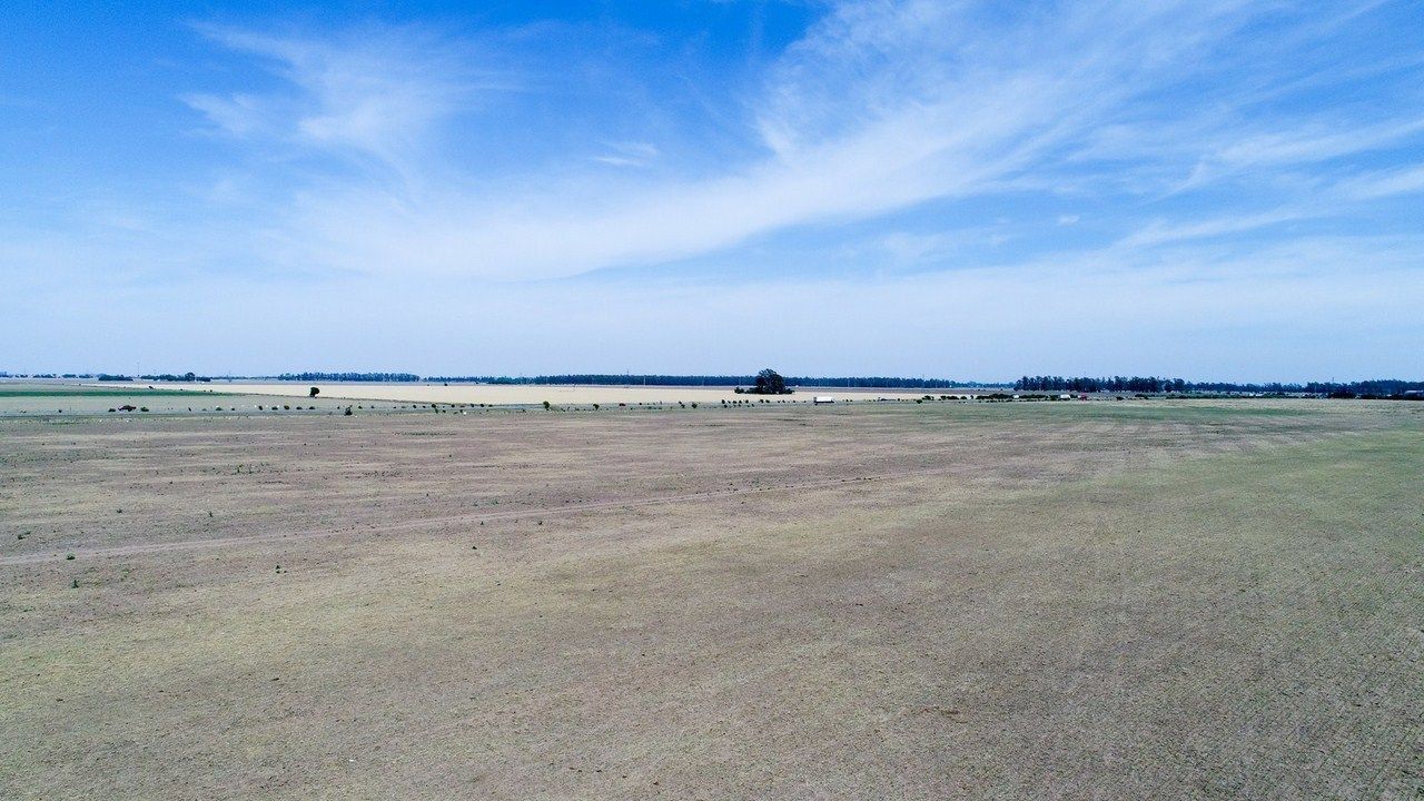 CAMPO EN PILAR, CÓRDOBA, ARGENTINA. 128 HAS.