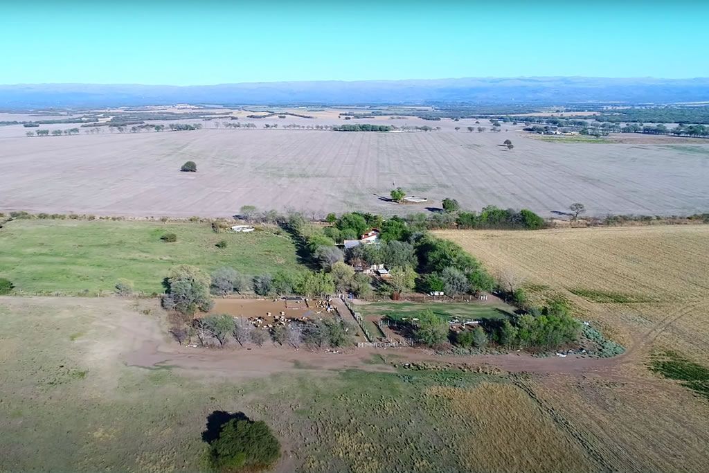 VENTA DE CAMPO DE 260 Ha EN JESÚS MARÍA, CÓRDOBA
