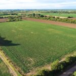 Venta 12.5 hectáreas en Colonia Caroya, Córdoba, Argentina