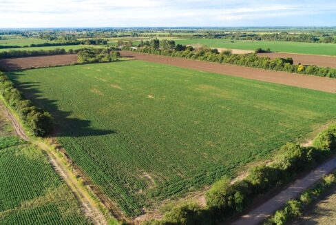 Venta 12.5 hectáreas en Colonia Caroya, Córdoba, Argentina
