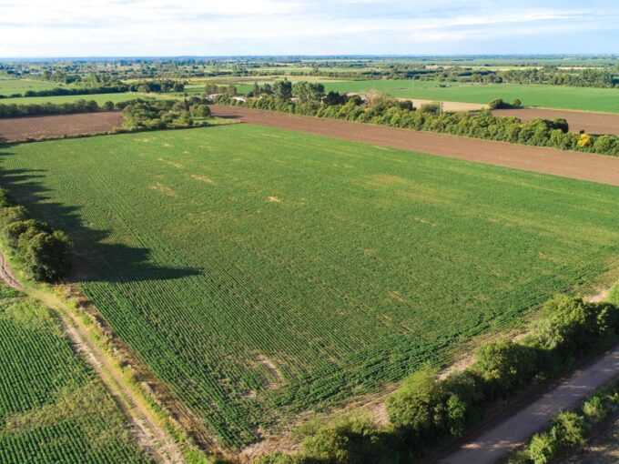 Venta 12.5 hectáreas en Colonia Caroya, Córdoba, Argentina
